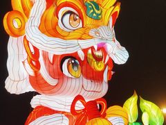 -万绿园