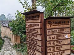 -杨家堂村