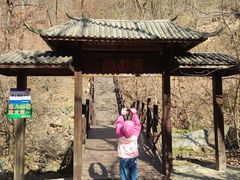 -天女山森林公园