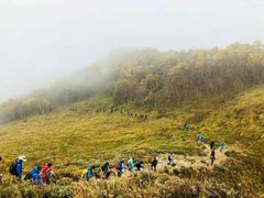 -小五台金河景区