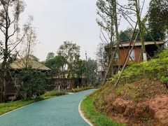-黄龙溪欢乐田园