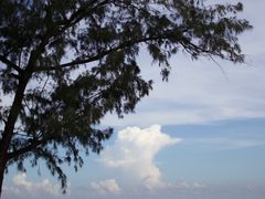 -西涌国际滨海旅游区