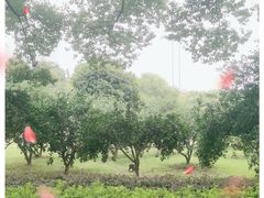 -橘子洲景区