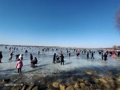 -丁香湖公园
