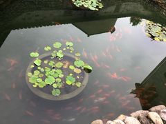 -前童古镇