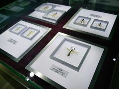 -上海昆虫博物馆