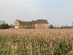 -中国天府农业博览园