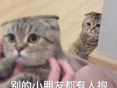 -塔哈尔·新疆盛宴(城西银泰店)