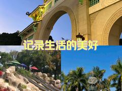 -中山公园