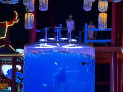 -合肥融创乐园