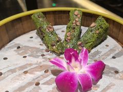 -阿露佳·舌尖上的安吉菜