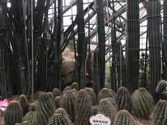 -南山植物园