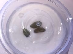 -阿娜尔·新疆菜(宜家荟聚中心店)