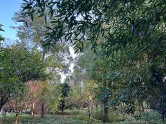 -昆山城市生态森林公园