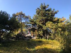 -丰台花园