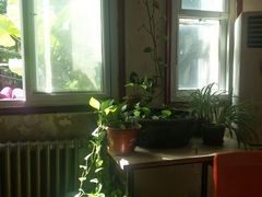 -胖哥料理(兴义里店)