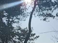 -华溪森林公园-售票处