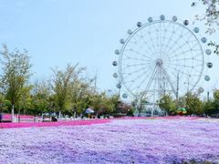 -紫金山山顶公园