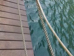 -祁门牯牛降观音堂风景区