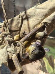 -Zoolung Zoolung动物主题公园(海信广场店)