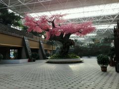 -辽阳弓长岭温泉滑雪场