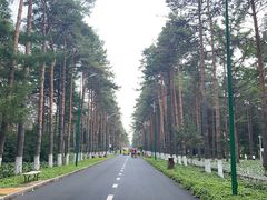 -黑龙江省森林植物园