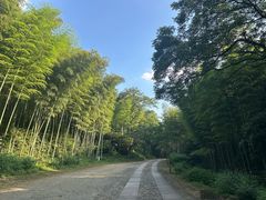 -黄公望隐居地