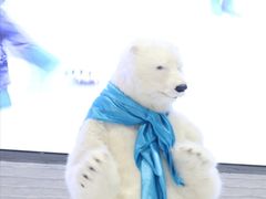 -Mr·Kuma酷么先生雪之乐园