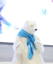 -Mr·Kuma酷么先生雪之乐园