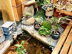 -木槿花韩式炭烤·熟成肉工坊(孙文东路店)