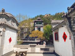 -老张烤羊(王哥庄店)