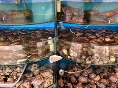 水产区-张会海鲜饭店(东戴河店)