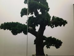 -柏乐口腔医院·舒适化无痛种植牙中心(东盟商务区院)