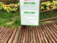 -呀路古热带植物园