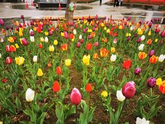 -长春公园(普阳街道)