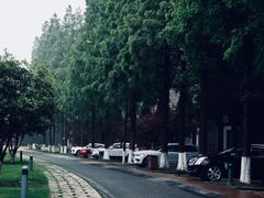 -太阳岛度假酒店