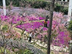 -狐尾山公园