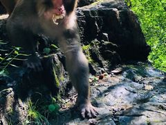 -十渡东湖港风景区