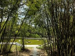 -深圳国际园林花卉博览园