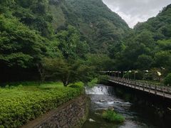 -宁波五龙潭景区