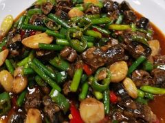 -阳灿酒楼(东苑小区店)