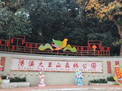 -清溪大王山森林公园