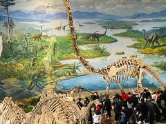 -自贡恐龙博物馆