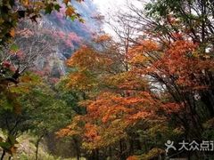 -牛背梁国家森林公园