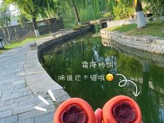 -三里河公园