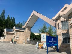 -水杉园