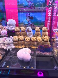 -嗨翻Hi-Fun竞技主题乐园·蹦床团建生日聚会(五棵松华熙店)
