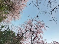 -颐和园
