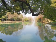 -西溪国家湿地公园