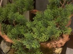 -百富源·海鲜辽菜(和平北大街店)